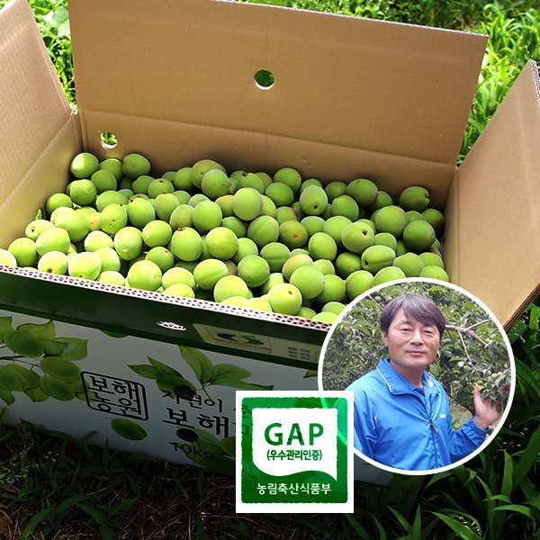 GAP인증 해남보해매실농원  청매실 10kg 3종/택1 - 이마트몰, 당신과 가장 가까운 이마트