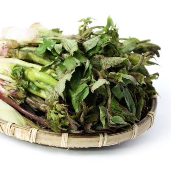 신선한 땅두릅 600g(300g 2팩) - 이마트몰, 당신과 가장 가까운 이마트 신선한 땅두릅 600g(300g 2팩)