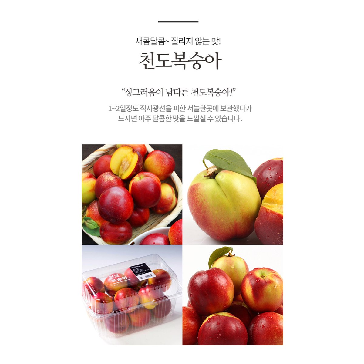 상품 이미지5