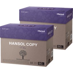 한솔복사용지 A4(80g) 2BOX / 5,000매