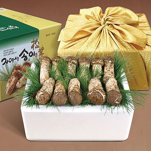 국내산 냉동 자연송이 (특상품A) 1kg 외 옵션 5종