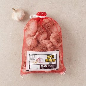 [금주 행사] 제철 채소와 샐러드, 영양가득 계란