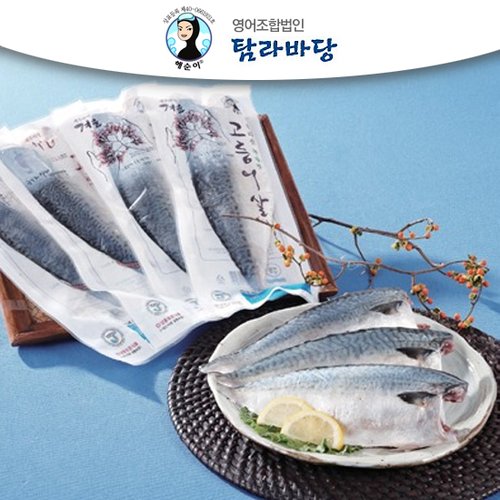 기획전 > 2019 설 GIFT, 신세계적 쇼핑포털 SSG.COM