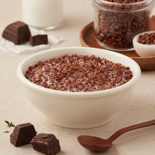 켈로그 코코팝스 460g