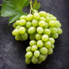토마토/자두/복숭아/포도