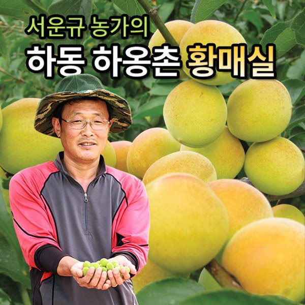상품 이미지1