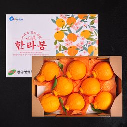 제주 한라봉 2kg/3kg/5kg/선물포장 옵션 선택가능(부직포가방)