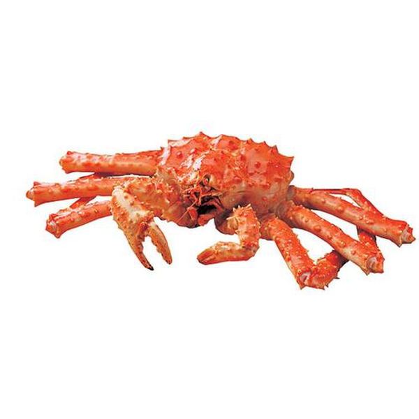 상품 이미지2