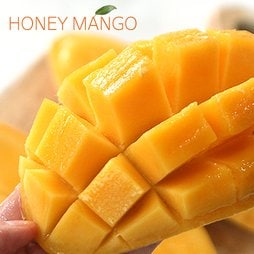 [HONEY MANGO] 열대과일의 여왕! 필리핀 카라바오 망고 2.5kg(12과)