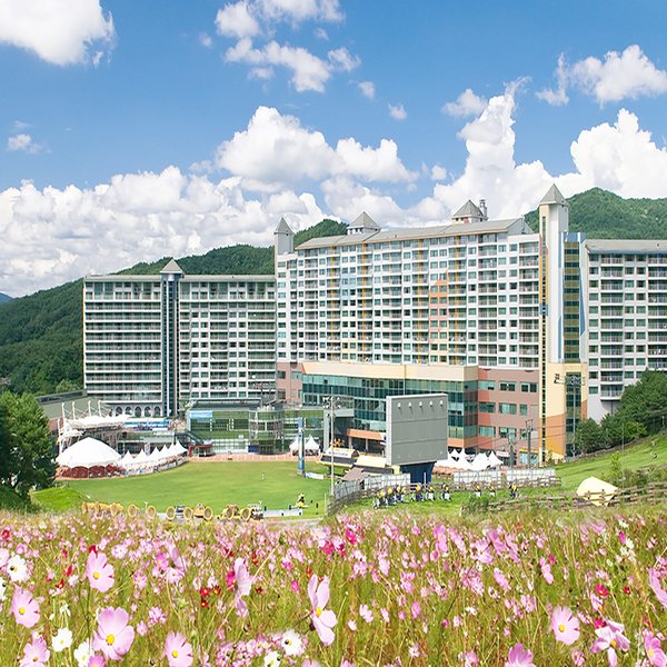 이미지1