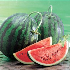 이마트가 선별한 고당도/당도선별 수박