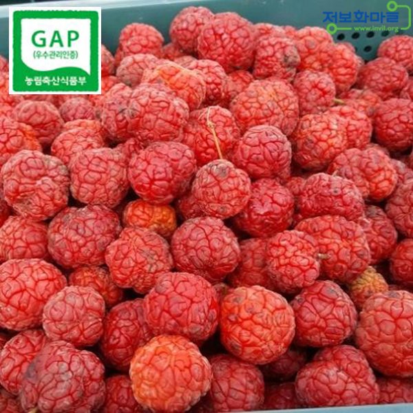 (인빌푸드)백제 꾸지뽕생과(냉동) 5kg - 이마트몰, 당신과 가장 가까운 이마트 (인빌푸드)백제 꾸지뽕생과(냉동) 5kg