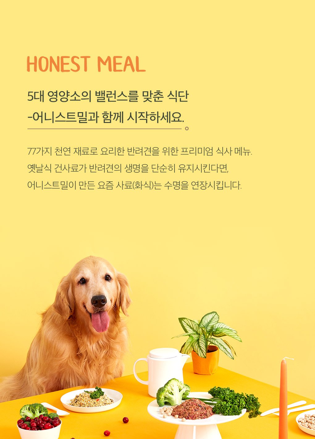 딜브랜드이미지