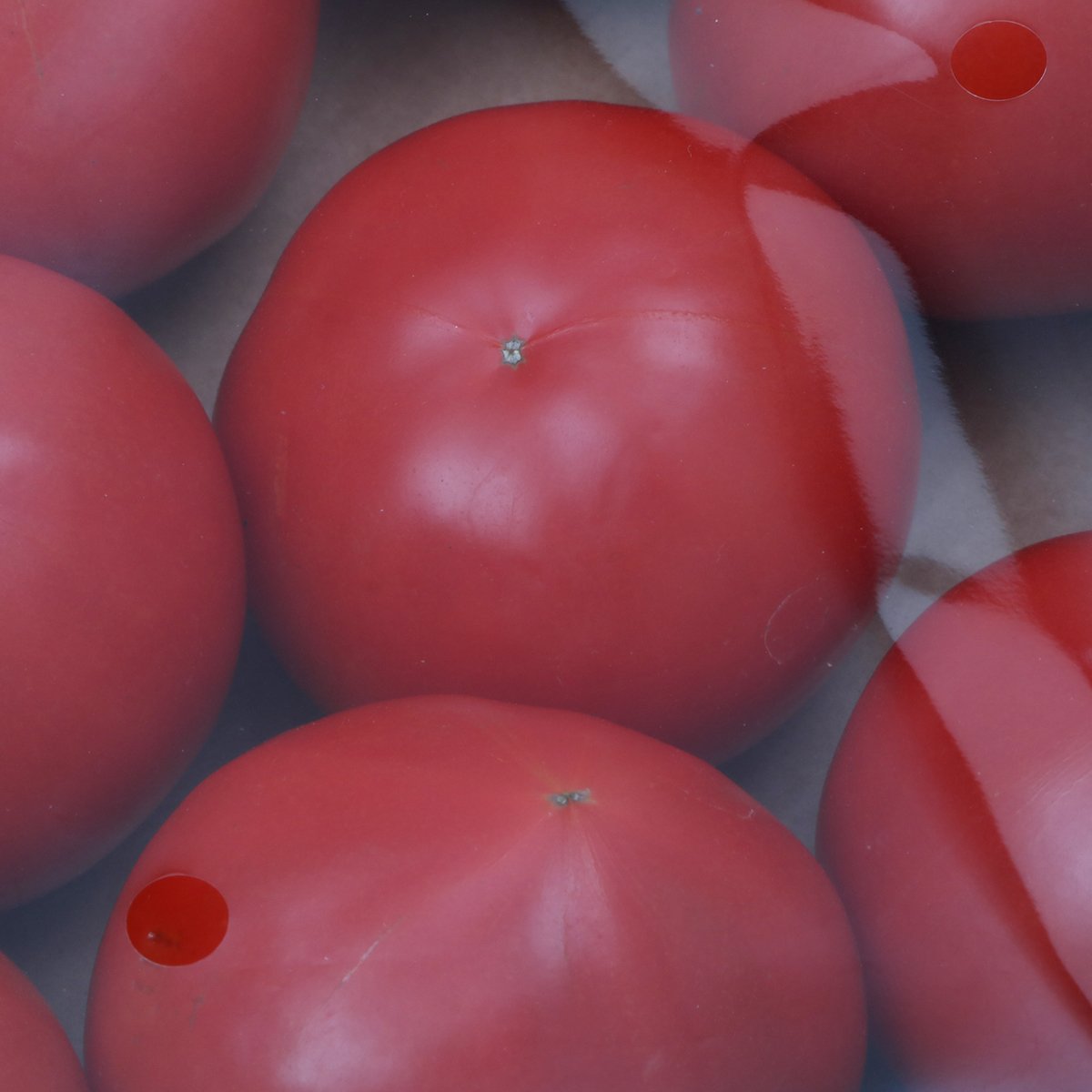 상품 이미지4