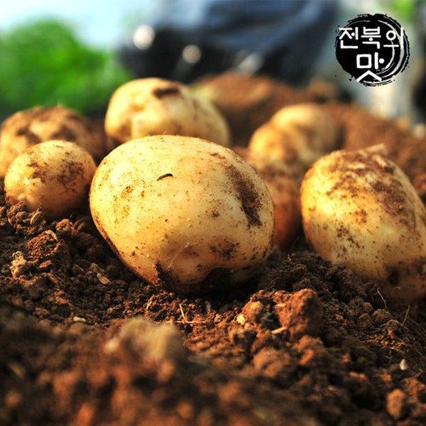 [산지직송] 포슬포슬 완주 햇 수미감자 5kg 특 (100~160g) - 이마트몰... 가까운 이마트 [산지직송] 포슬포슬 완주 햇 수미감자 5kg 특 (100~160g)