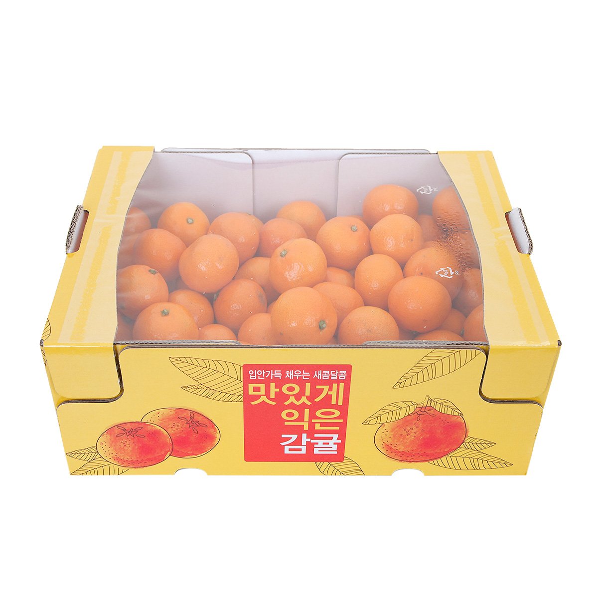 상품 이미지2