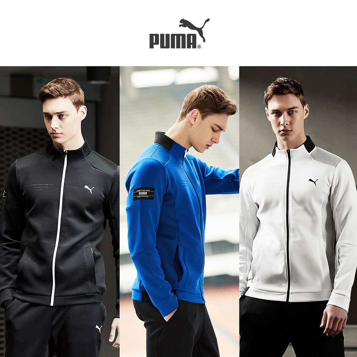 이미지 P