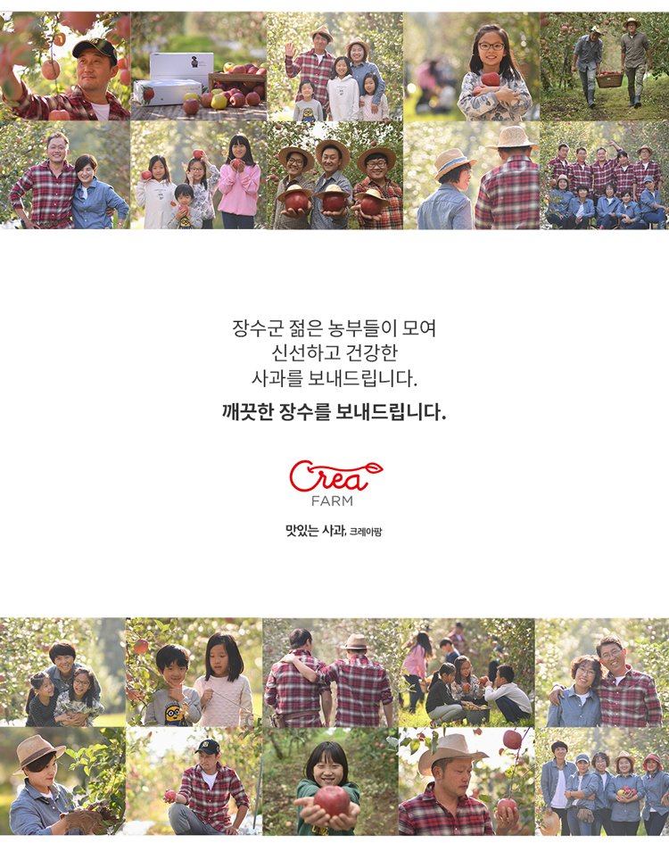 딜브랜드이미지