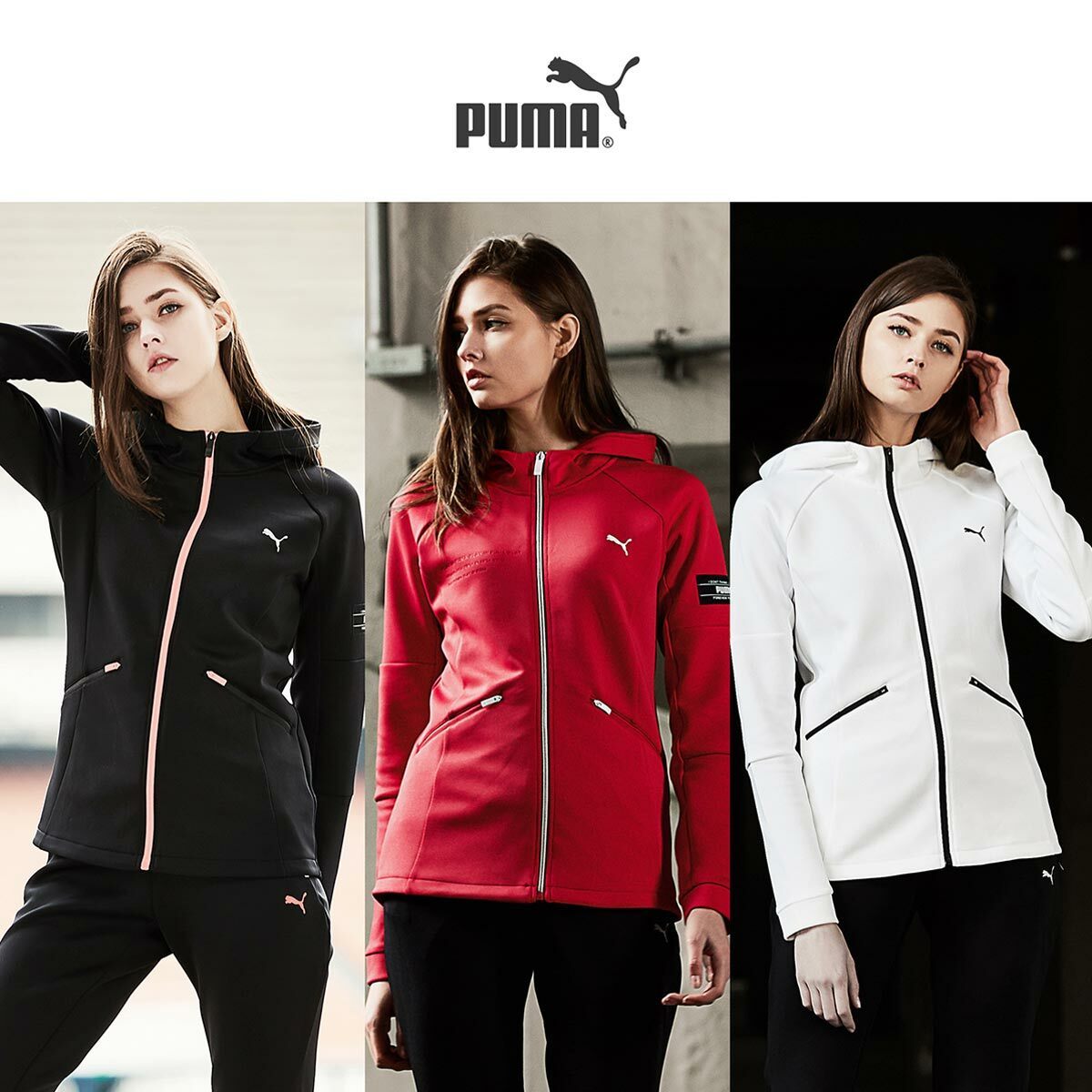 이미지 P