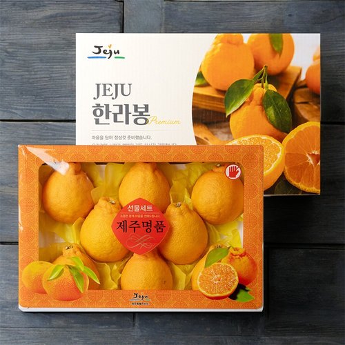  제주 한라봉/레드향/황금향 선물세트(제주직송)