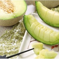 좋아하는 과일 고르기 | 인스티즈