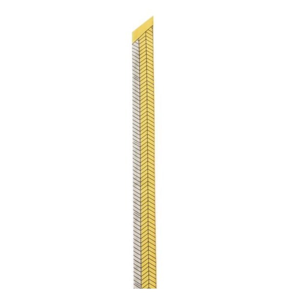 1000040149376