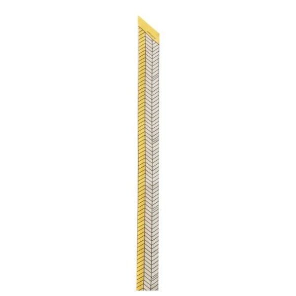 1000040149376