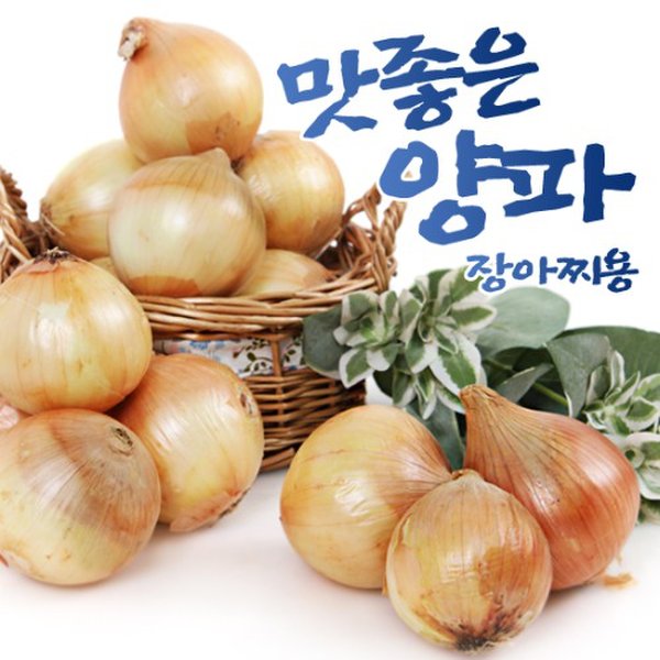 뿌리농산 맛좋은 햇양파 5kg(장아찌용) - 이마트몰, 당신과 가장 가까운 이마트 뿌리농산 맛좋은 햇양파 5kg(장아찌용)