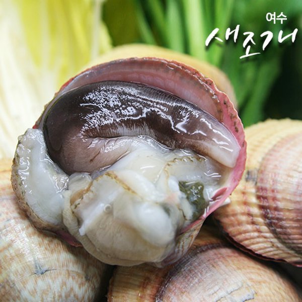 [여수 새조개]여수 새조개 120g x 3팩 - 이마트몰, 당신과 가장 가까운 이마트 [여수 새조개]여수 새조개 120g x 3팩