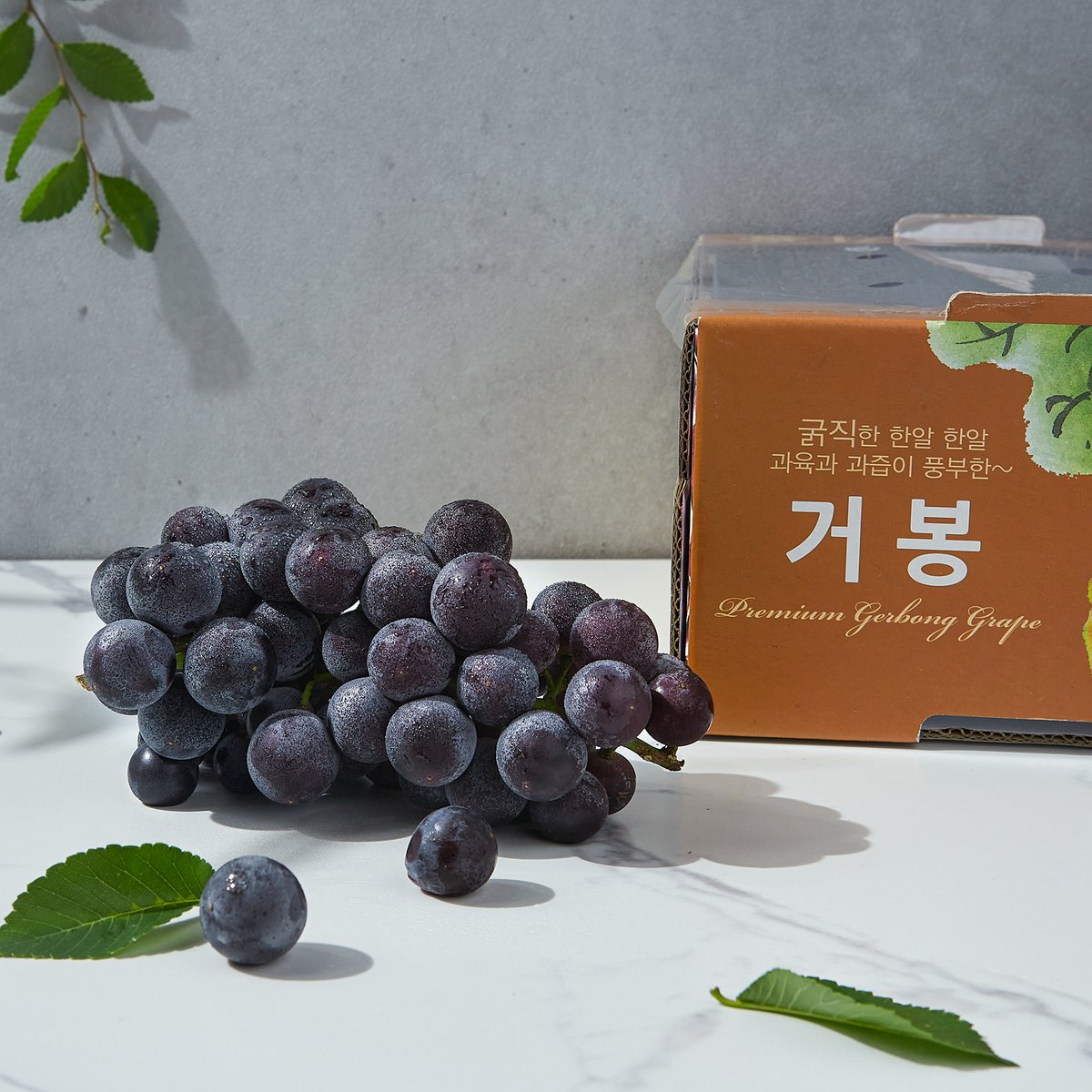상품 이미지1
