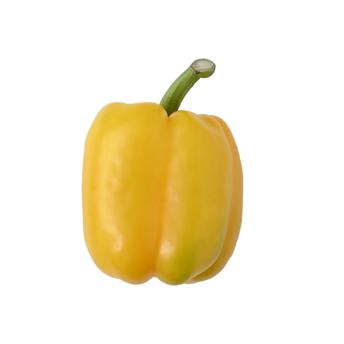 상품 이미지4
