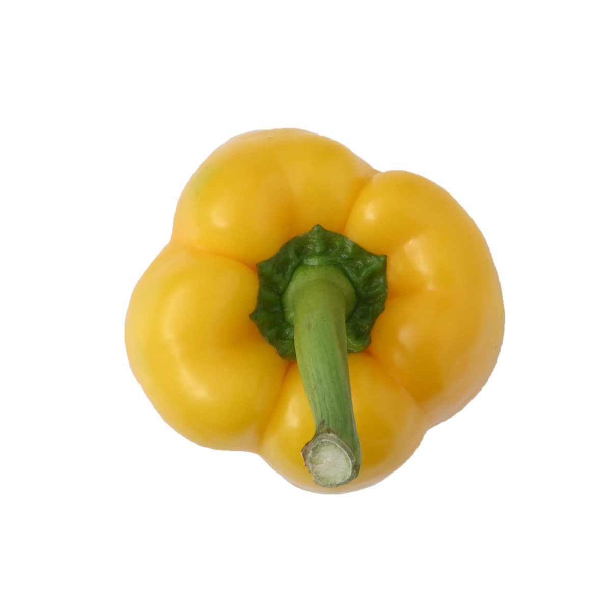 상품 이미지5