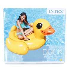 노란 오리 파도타기