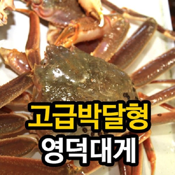 [경북영덕]영덕대게 고급박달형 大 3마리 - 이마트몰, 당신과 가장 가까운 이마트  [경북영덕]영덕대게 고급박달형 大 3마리