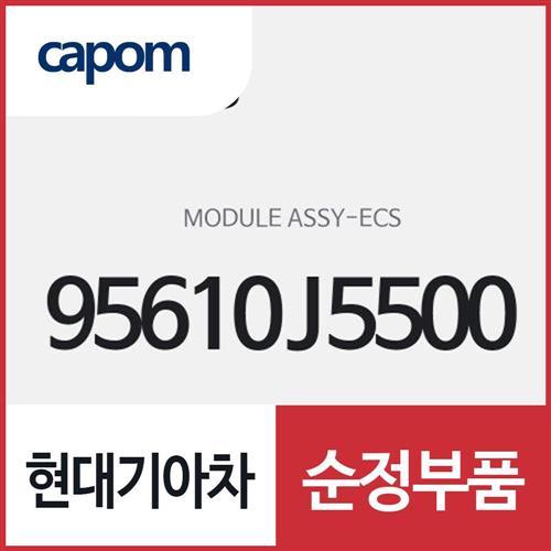 ECS 모듈 (95610J5500) 스팅어