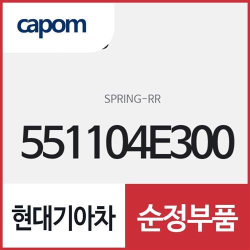 리어 스프링 (551104E300) 봉고3