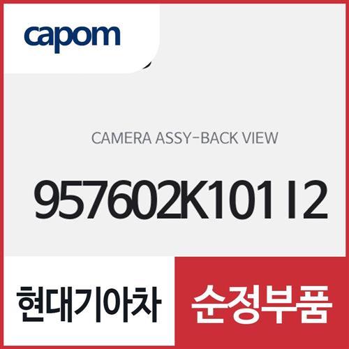 후방 카메라 (957602K101I2) 쏘울
