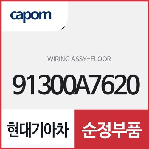 와이어링-플로어 (91300A7620) K3