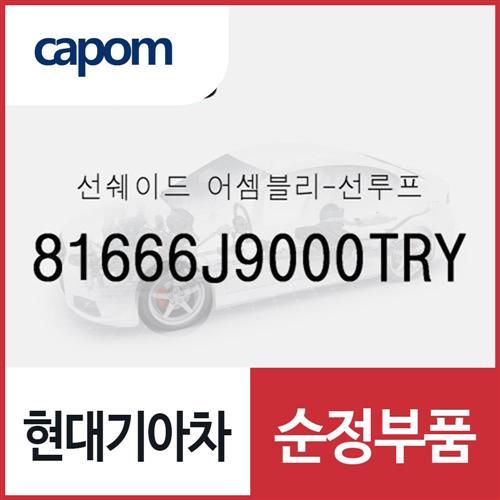 선쉐이드-선루프 (81666J9000TRY) 코나N
