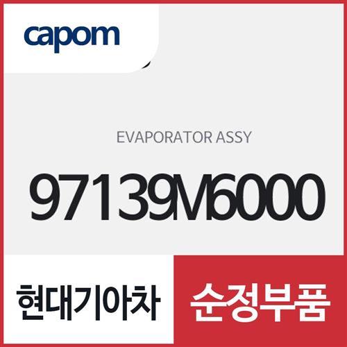 이베퍼레이터 (97139M6000) K3