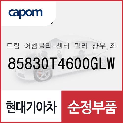 트림-센터 필러 상부,좌측 (85830T4600GLW) 제네시스 G90
