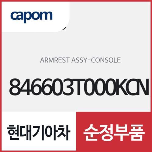 콘솔 암레스트 (846603T000KCN) K9