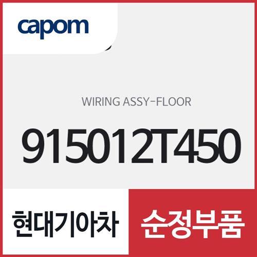 와이어링-플로어 (915012T450) K5
