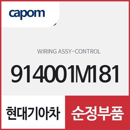 콘트롤 와이어링 (914001M181) 포르테