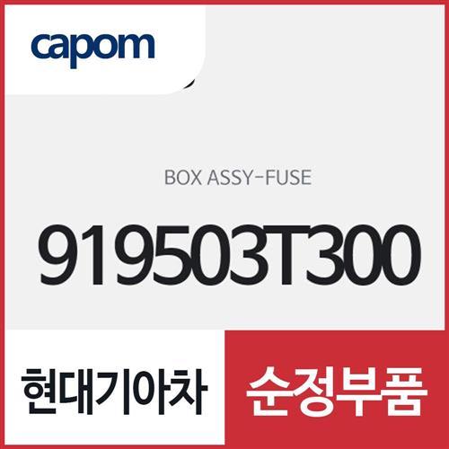 퓨즈 박스 (919503T300) K9