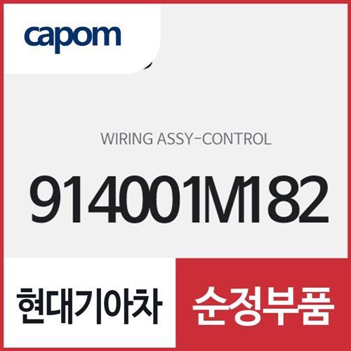 콘트롤 와이어링 (914001M182) 포르테