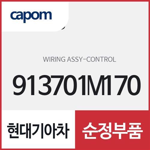 콘트롤 와이어링 (913701M170) 포르테