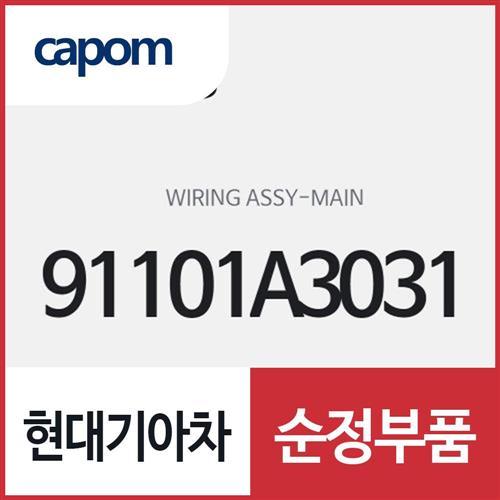 메인 와이어링 (91101A3031) 레이