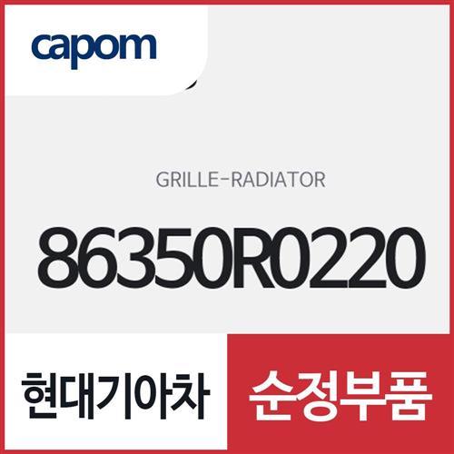 라디에이터 그릴 (86350R0220) 카니발