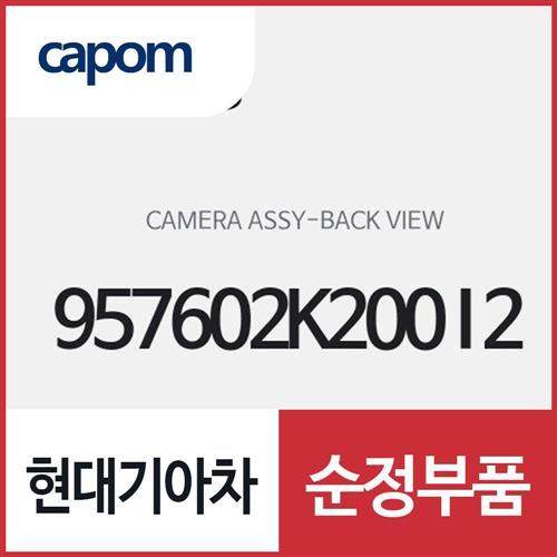 후방 카메라 (957602K200I2) 쏘울